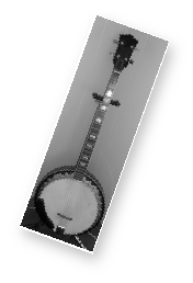 Picture of a Banjo